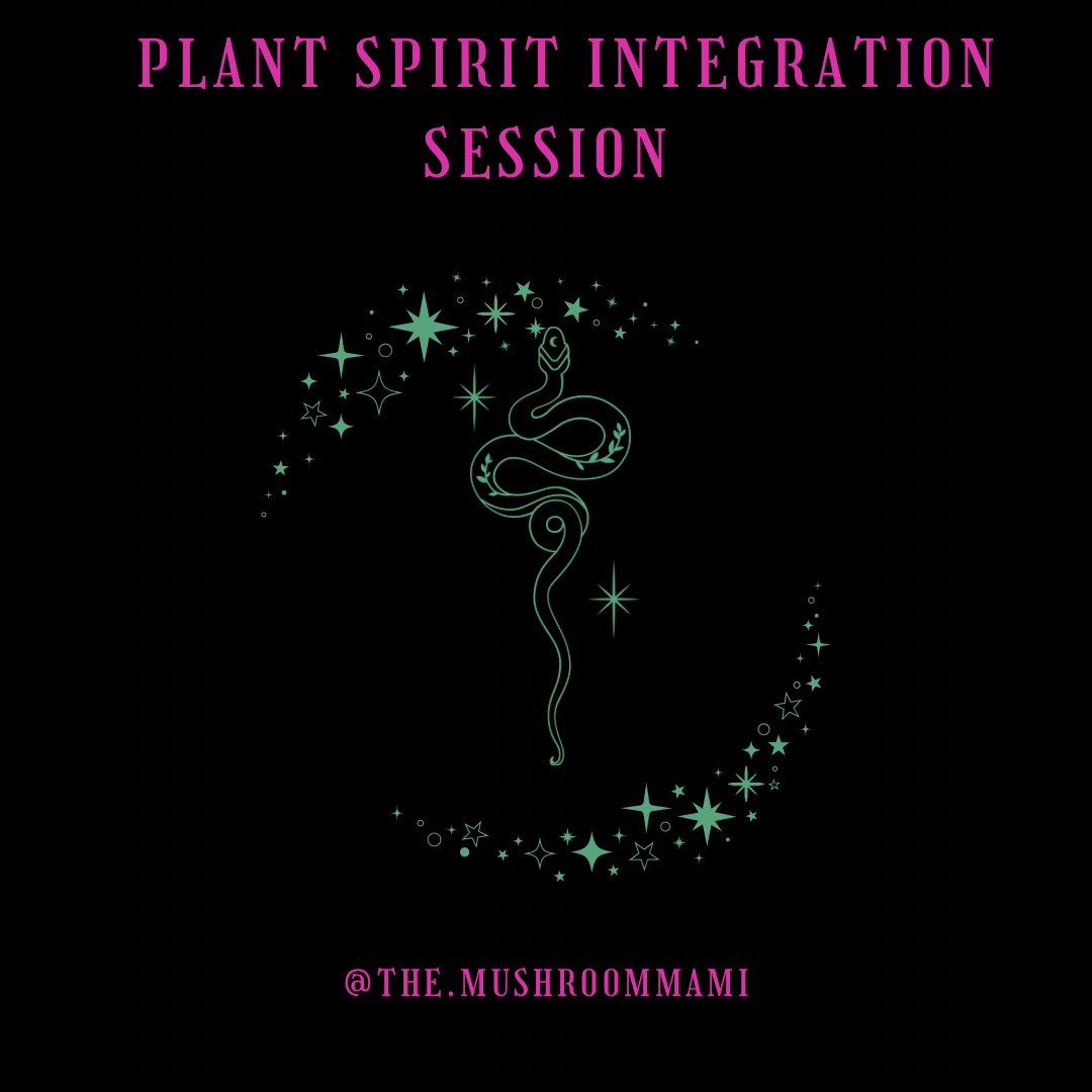 Plant Spirit Integration Session